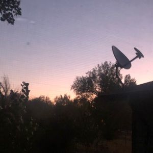 Meet your Posher, Alanah